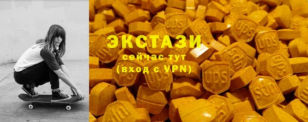 ECSTASY Богданович